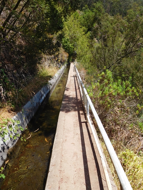 Levada do Norte (Süd) — Abschnitt 5 — Foto 24