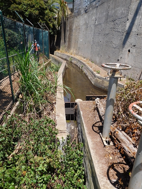 Levada do Norte (Süd) — Abschnitt 5 — Foto 29