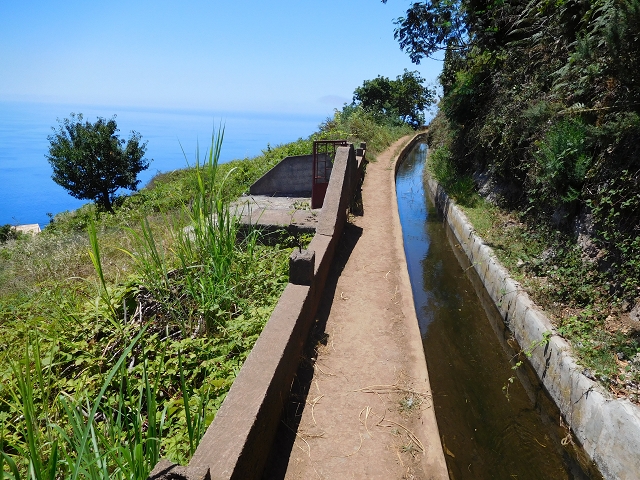 Levada do Norte (Süd) — Abschnitt 5 — Foto 31