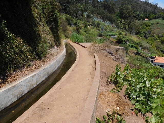 Levada do Norte (Süd) — Abschnitt 5 — Foto 32