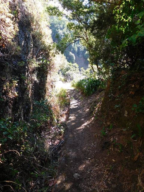 Levada do Norte (Süd) — Abschnitt 1 — Foto 6