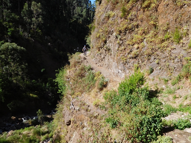 Levada do Norte (Süd) — Abschnitt 1 — Foto 7