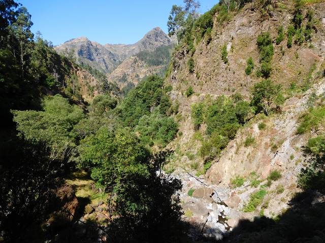 Levada do Norte (Süd) — Abschnitt 1 — Foto 10