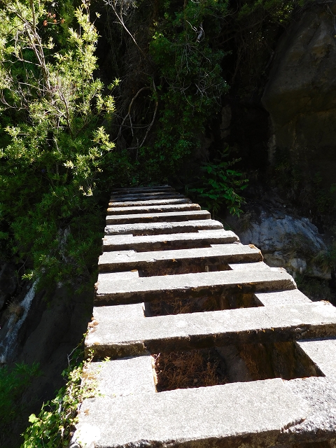 Levada do Norte (Süd) — Abschnitt 1 — Foto 16