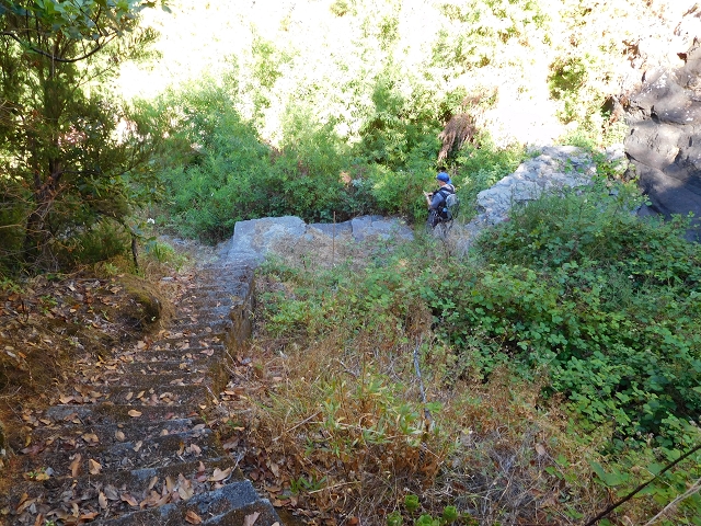 Levada do Norte (Süd) — Abschnitt 1 — Foto 18
