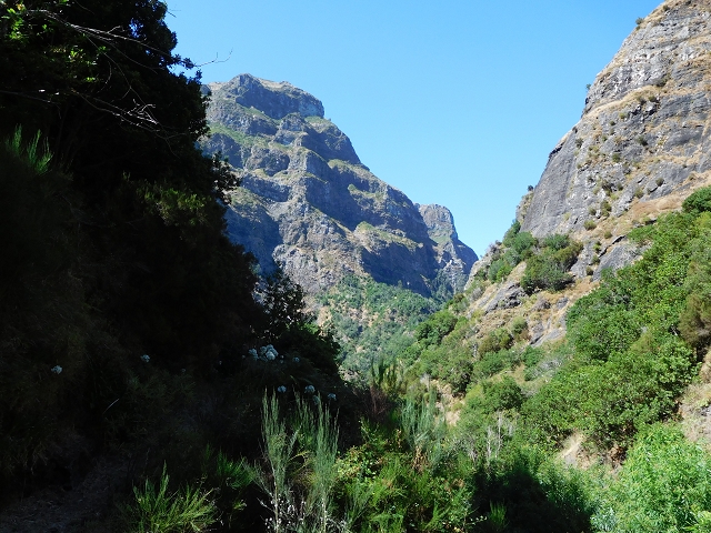 Levada do Norte (Süd) — Abschnitt 1 — Foto 20