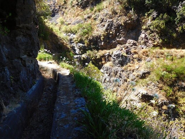 Levada do Norte (Süd) — Abschnitt 1 — Foto 21