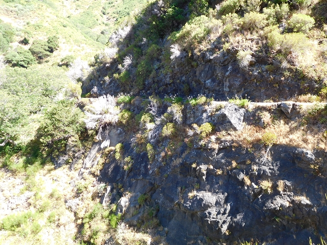 Levada do Norte (Süd) — Abschnitt 1 — Foto 22