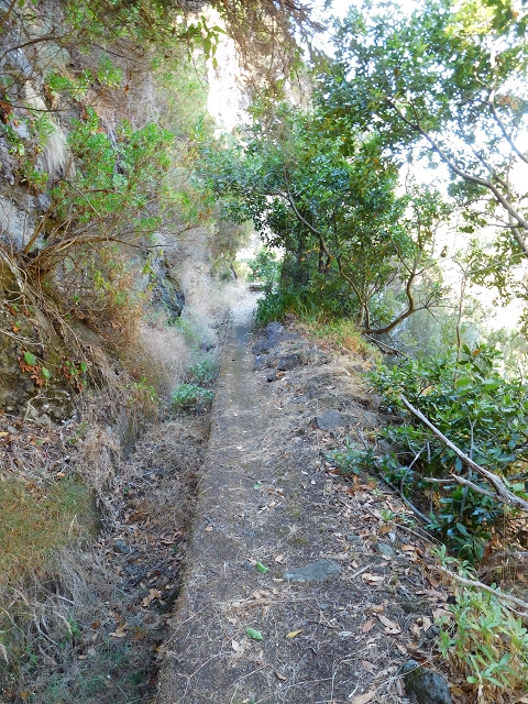 Levada do Norte (Süd) — Abschnitt 1 — Foto 24