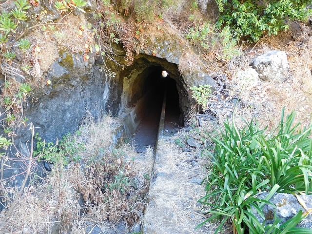 Levada do Norte (Süd) — Abschnitt 1 — Foto 25