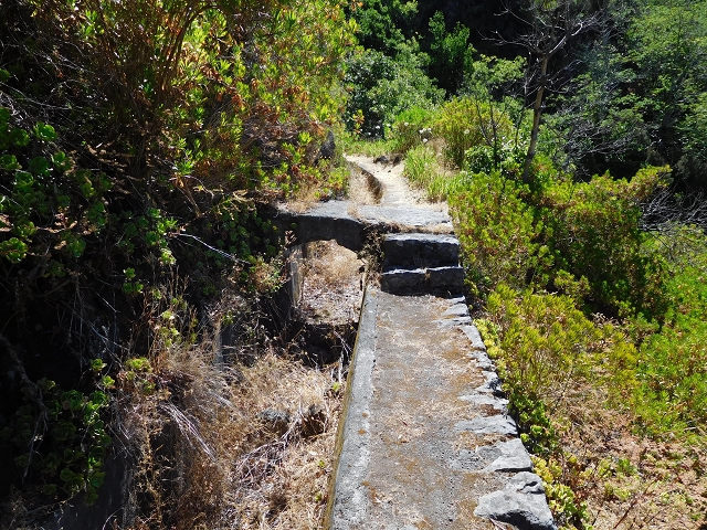 Levada do Norte (Süd) — Abschnitt 1 — Foto 29