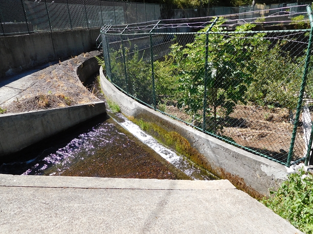 Levada do Norte (Süd) — Abschnitt 1 — Foto 32