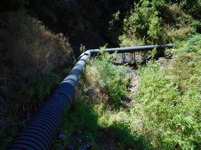 Levada do Norte (Süd) — Abschnitt 2 — Foto 14