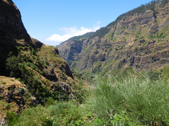 Levada do Norte (Süd) — Abschnitt 2 — Foto 21