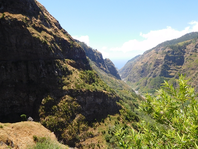 Levada do Norte (Süd) — Abschnitt 2 — Foto 31