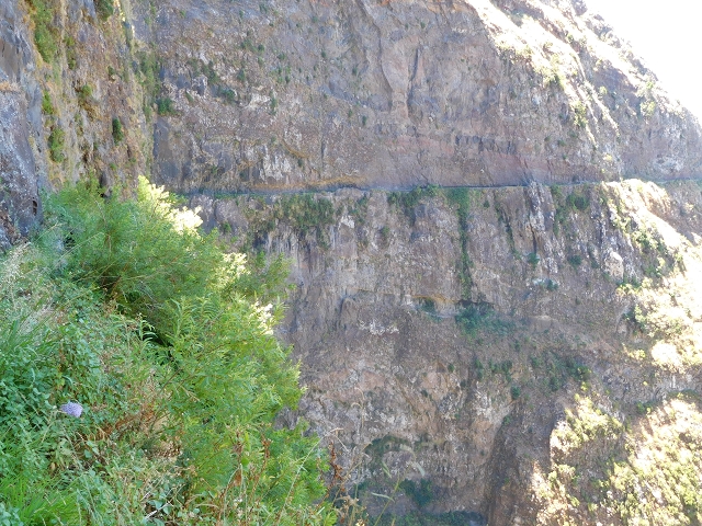 Levada do Norte (Süd) — Abschnitt 2 — Foto 33