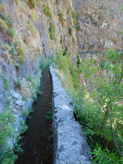 Levada do Norte (Süd) — Abschnitt 2 — Foto 34