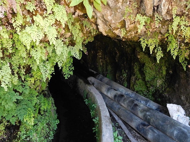 Levada do Norte (Süd) — Abschnitt 2 — Foto 38