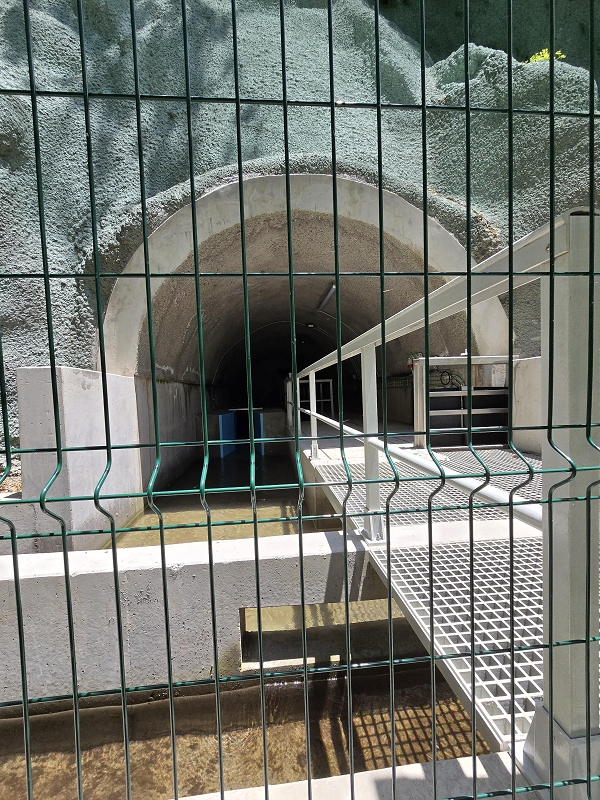 Levada do Norte (Süd) — Abschnitt 2 — Foto 65