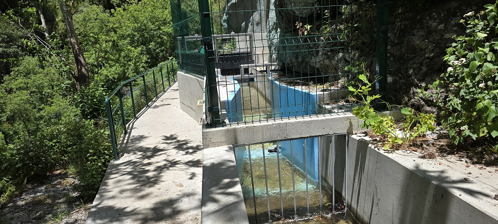 Levada do Norte (Süd) — Abschnitt 2 — Foto 66