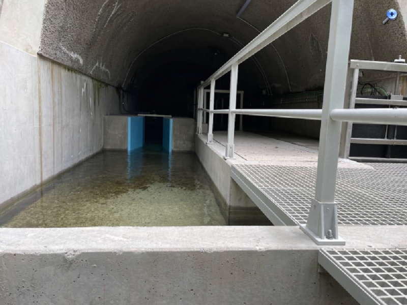 Levada do Norte (Süd) — Abschnitt 2 — Foto 70