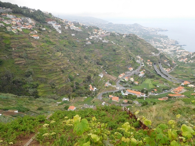 Levada do Norte (Süd) — Abschnitt 6 — Foto 2