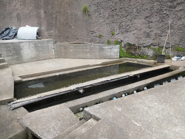 Levada do Norte (Süd) — Abschnitt 6 — Foto 5