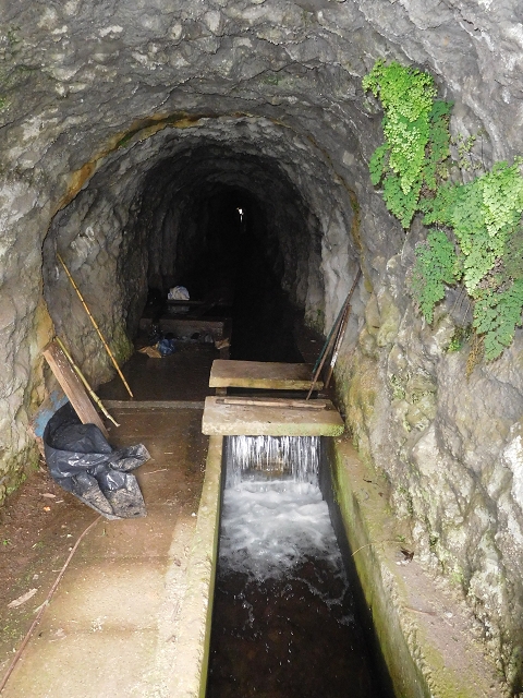 Levada do Norte (Süd) — Abschnitt 6 — Foto 6