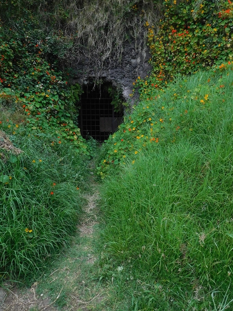 Levada do Norte (Süd) — Abschnitt 6 — Foto 7
