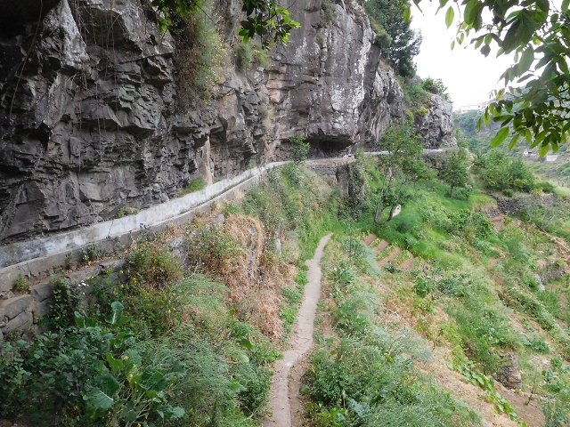 Levada do Norte (Süd) — Abschnitt 6 — Foto 15