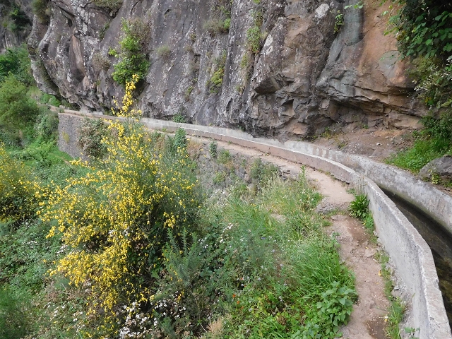 Levada do Norte (Süd) — Abschnitt 6 — Foto 14
