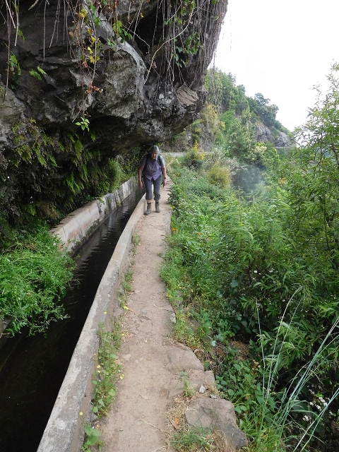 Levada do Norte (Süd) — Abschnitt 6 — Foto 13
