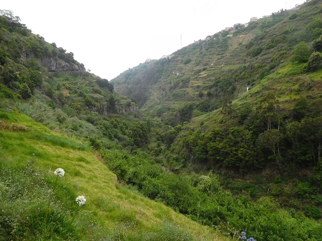 Levada do Norte (Süd) — Abschnitt 6 — Foto 12