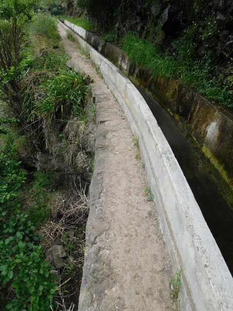 Levada do Norte (Süd) — Abschnitt 6 — Foto 10