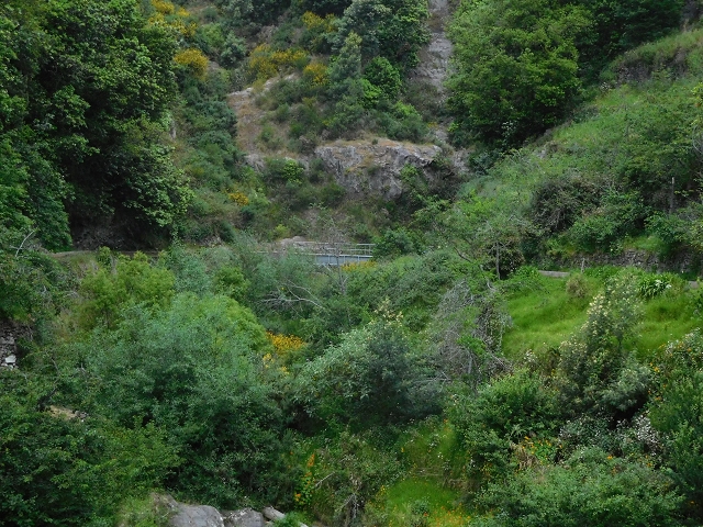 Levada do Norte (Süd) — Abschnitt 6 — Foto 9