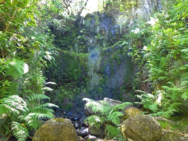 Levada do Paul 1 — Lagoa do Vento — Foto 2