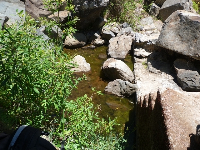 Levada do Paul 2 — Von der Madre zur Kreuzung mit der Cascalhopiste — Foto 1
