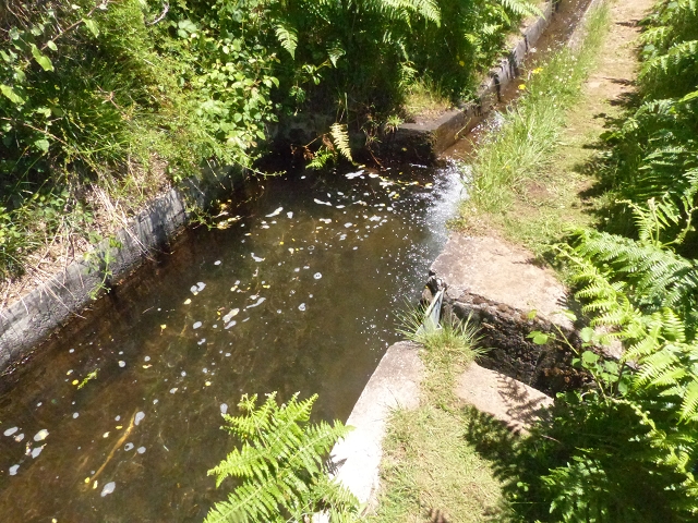 Levada do Paul 2 — Von der Madre zur Kreuzung mit der Cascalhopiste — Foto 10