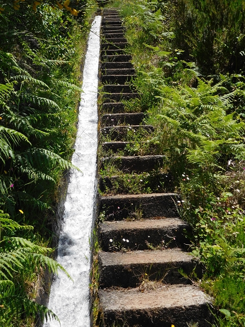 Levada do Paul 2 — Von der Madre zur Kreuzung mit der Cascalhopiste — Foto 12