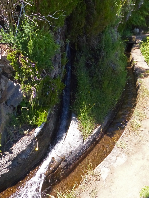 Levada do Paul 2 — Von der Madre zur Kreuzung mit der Cascalhopiste — Foto 14