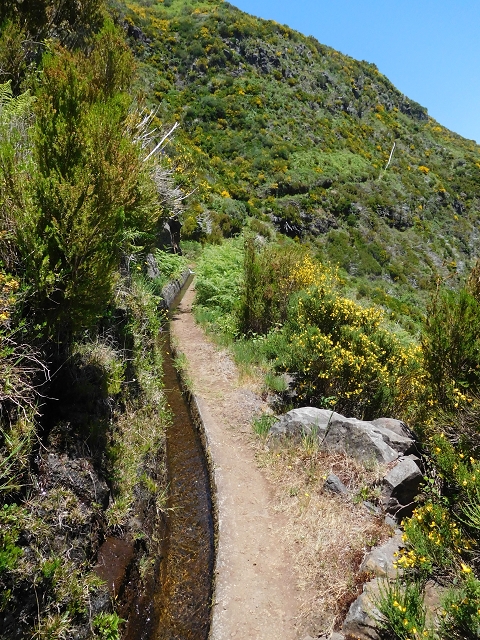 Levada do Paul 2 — Von der Madre zur Kreuzung mit der Cascalhopiste — Foto 16
