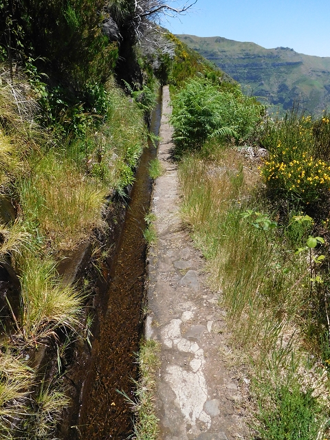Levada do Paul 2 — Von der Madre zur Kreuzung mit der Cascalhopiste — Foto 17
