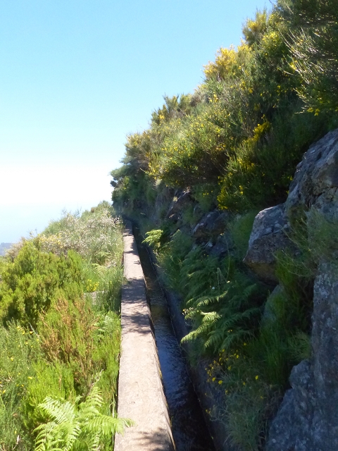 Levada do Paul 2 — Bis Cristo Rei — Foto 2