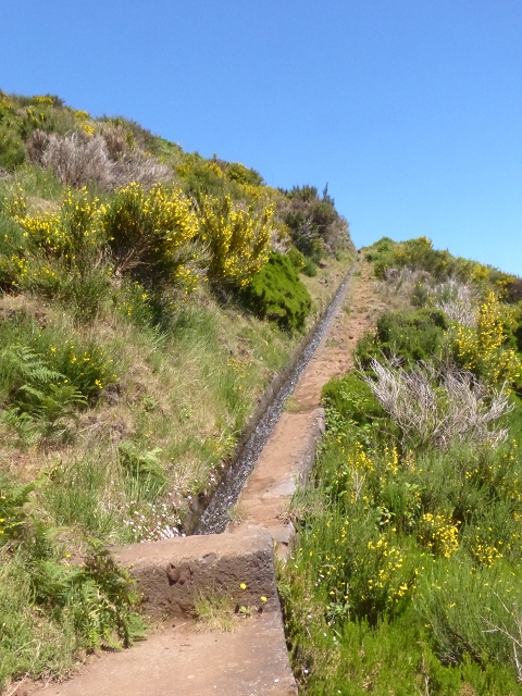 Levada do Paul 2 — Bis Cristo Rei — Foto 5