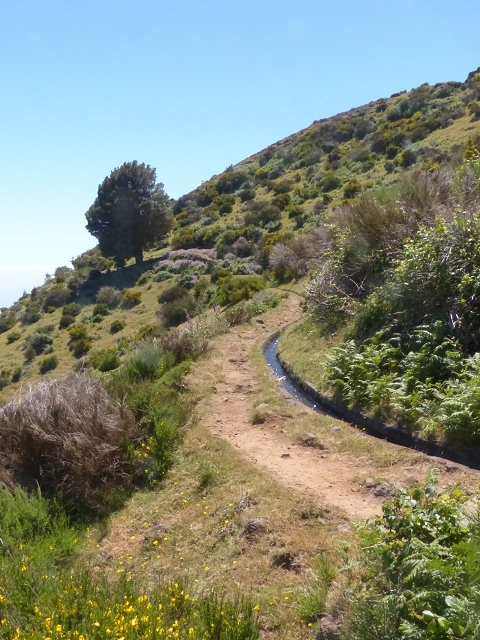 Levada do Paul 2 — Bis Cristo Rei — Foto 6