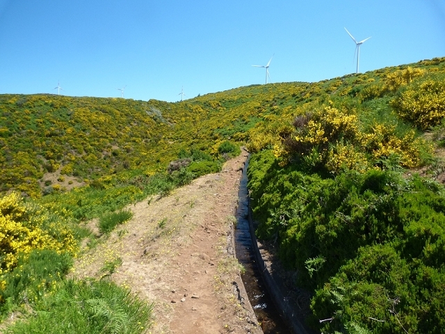 Levada do Paul 2 — Bis Cristo Rei — Foto 9
