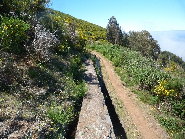 Levada do Paul 2 — Bis Cristo Rei — Foto 10
