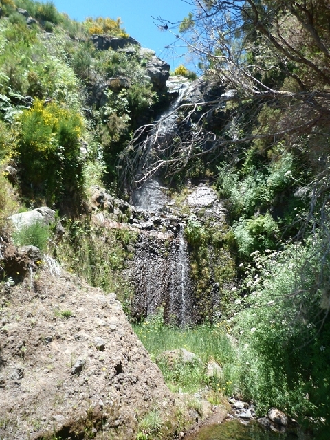 Levada do Paul 2 — Von der Madre zur Kreuzung mit der Cascalhopiste — Foto 3