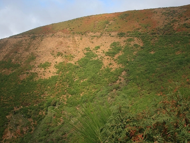 Levada do Paul 2 — Bis zum Ende beim Rabacal-Parkplatz — Foto 2