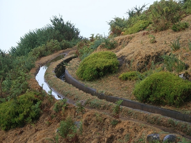Levada do Paul 2 — Bis zum Ende beim Rabacal-Parkplatz — Foto 3